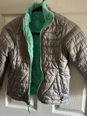 The North Face Kids Gray Puffer Jacket with Mint Green Sherpa